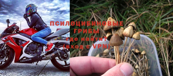 синтетический гашиш Алексин