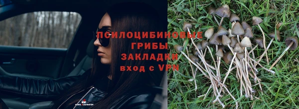 кокс Алзамай