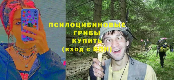 кокс Алзамай