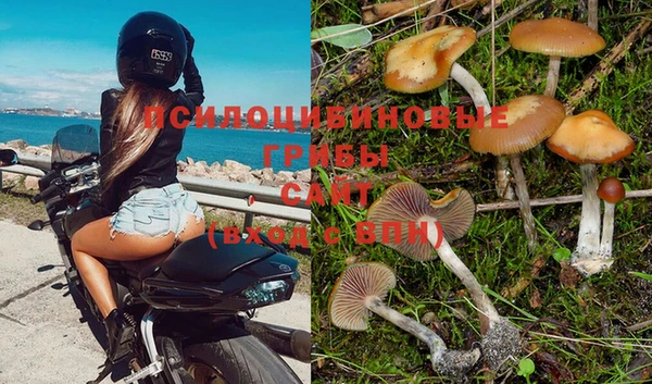 apvp Алексеевка